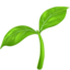🌱